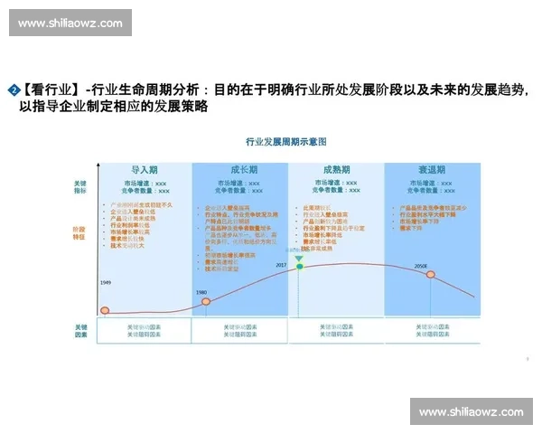 企业客户行为洞察与市场策略优化研究报告